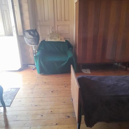 Levani'S Guesthouse Zugdidi Buitenkant foto